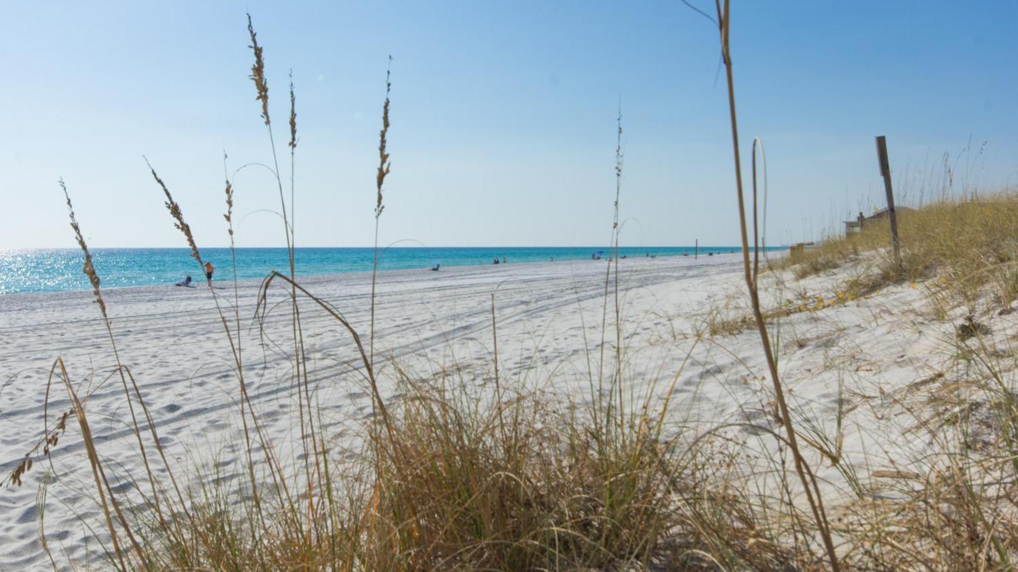 Breathtaking Views From Gulf Front 2 Bd / 3 Ba Townhome! 巴拿马城 外观 照片